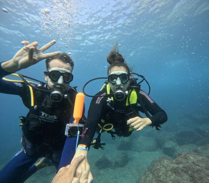 Tenerife: Beginner's Dive at a Spot with Turtle Sightings - What You Might See Beneath Tenerife