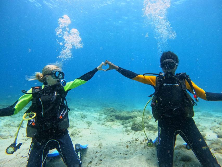 Tenerife: Beginner's Dive at a Spot with Turtle Sightings - Who Will Enjoy This Most?