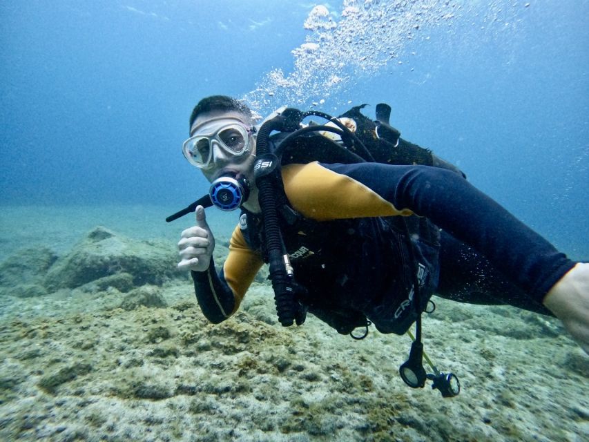 Tenerife: Beginner's Dive at a Spot with Turtle Sightings - The 30-Minute Safety Lesson