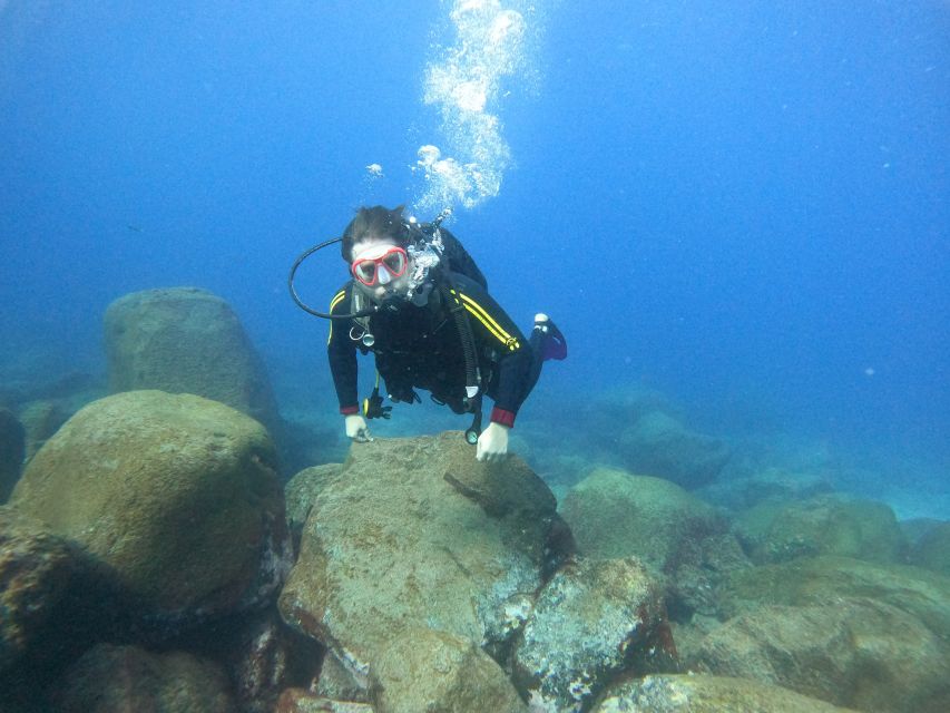Tenerife: Beginners Scuba Dive Experience in Turtle Area - The 15-minute speedboat ride
