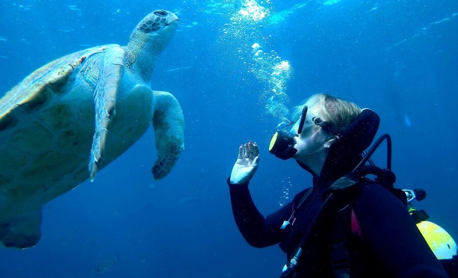 Tenerife: Beginners Scuba Dive Experience in Turtle Area - Your first underwater session, up to 12 meters