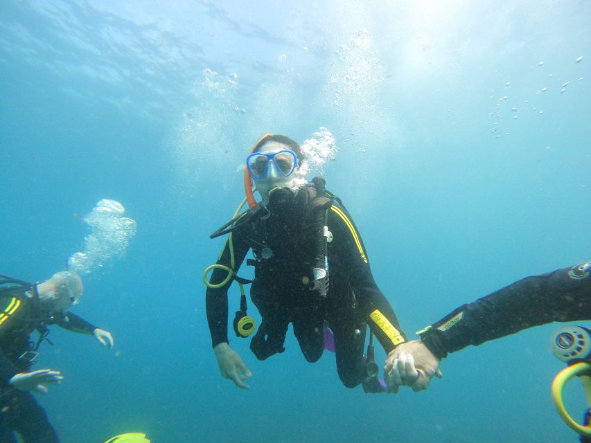 Tenerife: Beginners Scuba Dive Experience in Turtle Area - Returning by boat after about 90 minutes on the water