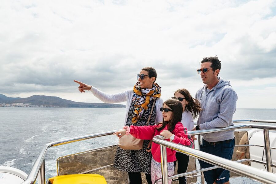 Tenerife: Eco-Yacht Whale and Dolphin Watching and Swimming - Tips For A Smoother Departure