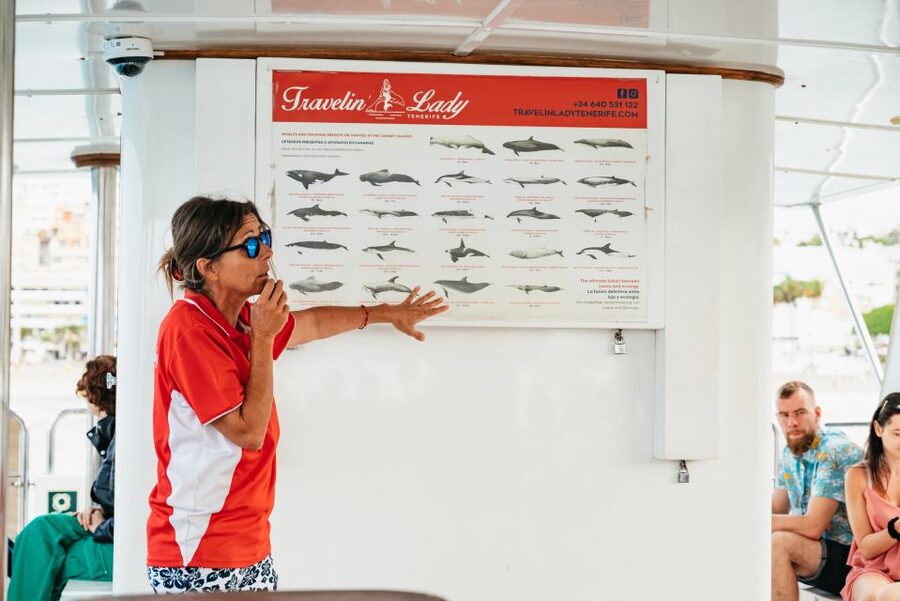 Tenerife: Eco-Yacht Whale and Dolphin Watching and Swimming - The First 30 Minutes: Searching Offshore