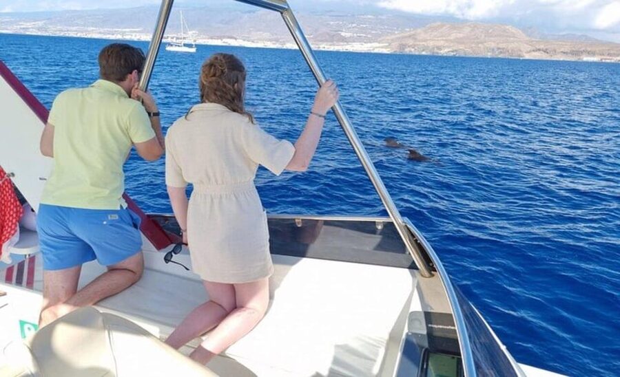 Tenerife: Eco-Yacht Whale and Dolphin Watching and Swimming - The Guides Make The Short Trip Work