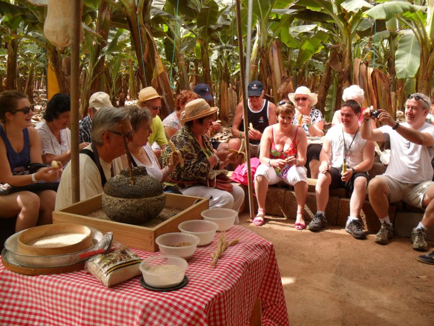 Tenerife: Finca Las Margaritas Banana Plantation Experience - Who Will Prefer Self-Guided?