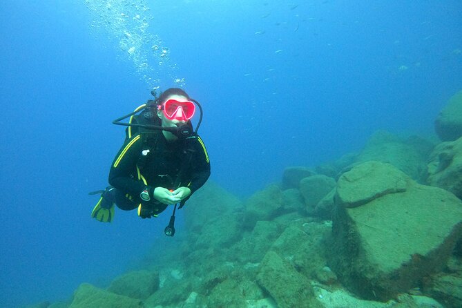 Tenerife First Time Scuba Dive – Turtle Habitat, Small Groups - From the Travel Sub Dive Center to Puerto Colón