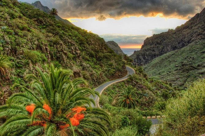 Tenerife Grand Tour: including Teide National Park and Masca - Key points before you book