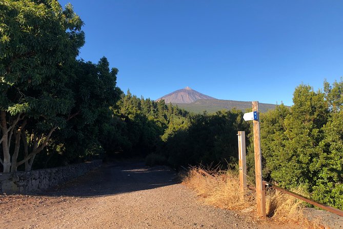 Tenerife Grand Tour: including Teide National Park and Masca - What this Tenerife tour is trying to do