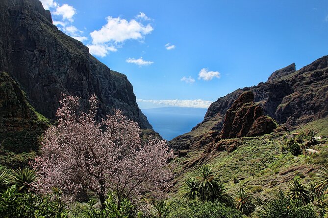 Tenerife Grand Tour: including Teide National Park and Masca - Teide National Park and the Roques de García