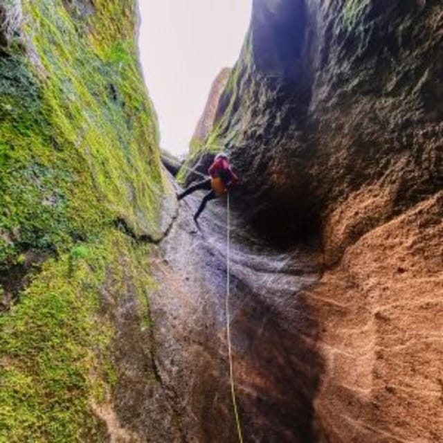 Tenerife: Guided Canyoning Experience in Los Arcos - Practical advice before you book