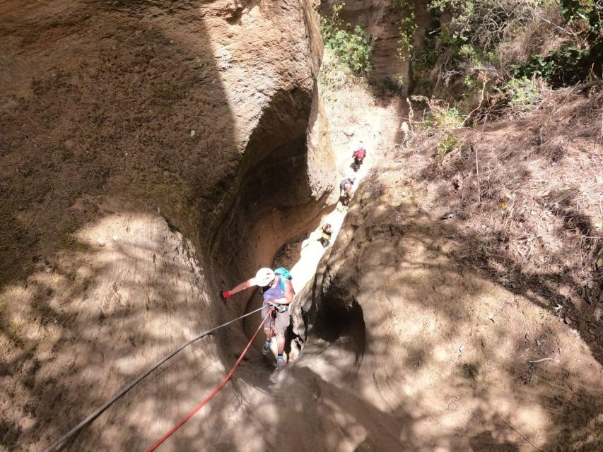 Tenerife: Guided Canyoning Experience in Los Arcos - What the fire damage means for your visit