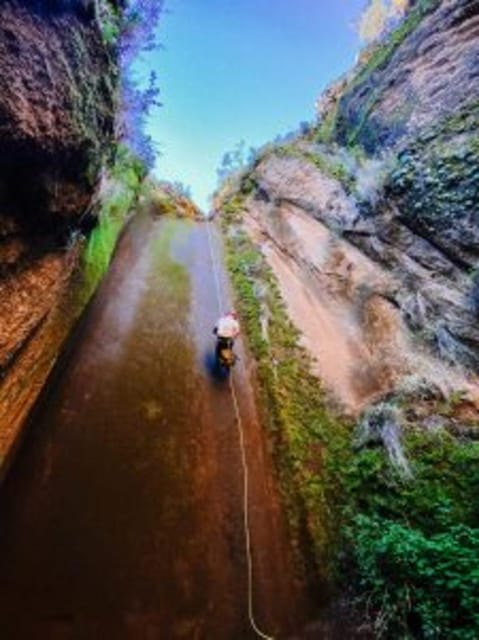 Tenerife: Guided Canyoning Experience in Los Arcos - Is $82 good value for Tenerife?