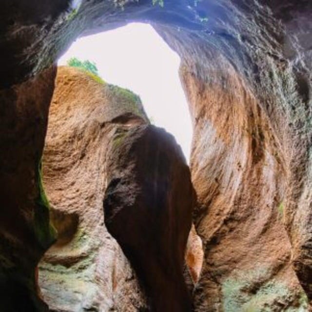 Tenerife: Guided Canyoning Experience in Los Arcos - Who will enjoy this experience most?