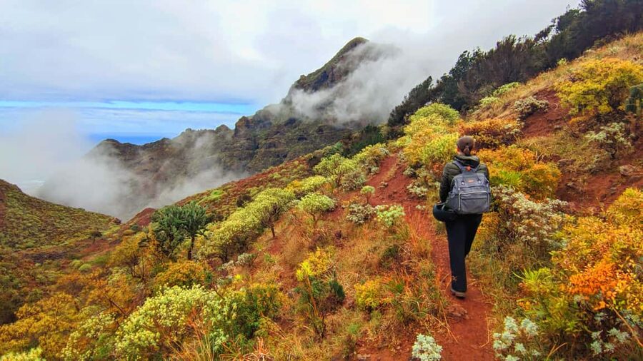 Tenerife: Hiking Tour in Anaga Mountains & Enchanted Forest - Picnic in a cave or above the ocean