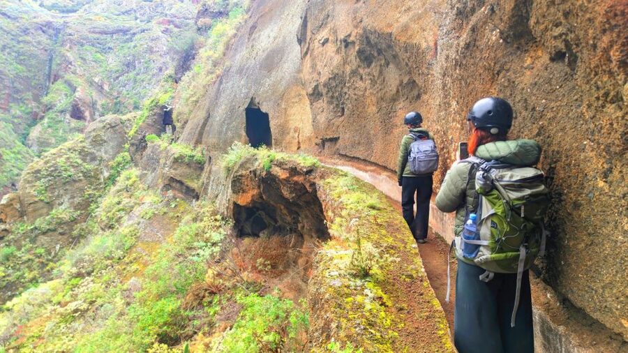 Tenerife: Hiking Tour in Anaga Mountains & Enchanted Forest - Pickup from the coast and the climb toward La Jardina