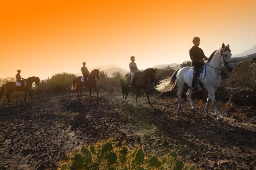 Tenerife: Horseback Ride with Instructor - The One-Hour Ride Through Southern Tenerife