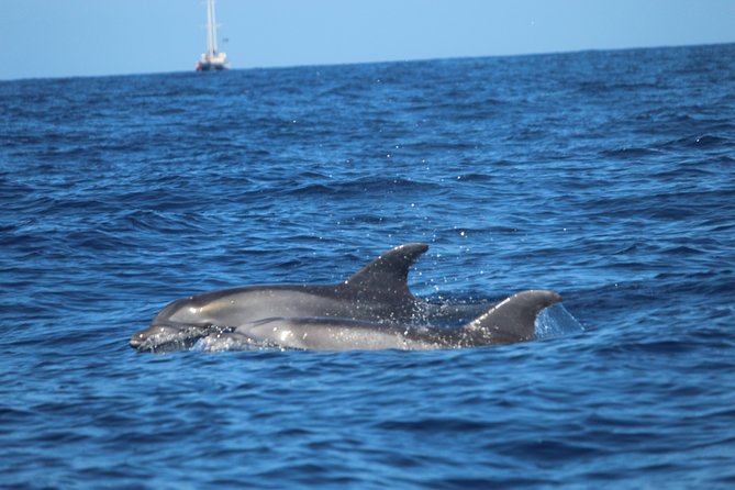 Tenerife : Jet Ski Tour with option for Quad Trip - The swimming and snorkeling question