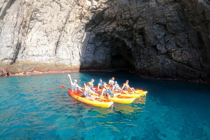 Tenerife: Kayak and snorkel with marine life safari - Practical value, timing, and what to pack