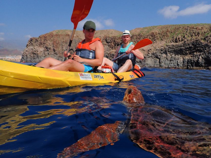 Tenerife: Kayak and Snorkel with Turtles, Wetsuits Included - Why this Tenerife kayak trip is worth considering