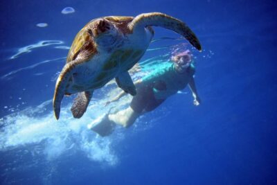 Kayak and Snorkel with Turtles, Wetsuits Included