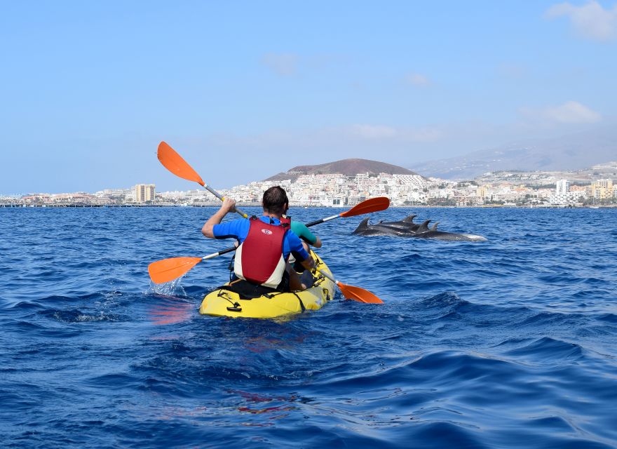 Tenerife: Kayak and Snorkel with Turtles, Wetsuits Included - Cueva de los Enamorados and the return along the coast