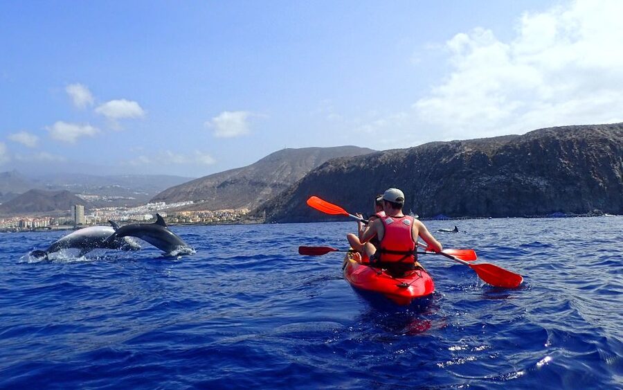 Tenerife: Kayak and Snorkel with Turtles, Wetsuits Included - Who should book this activity?