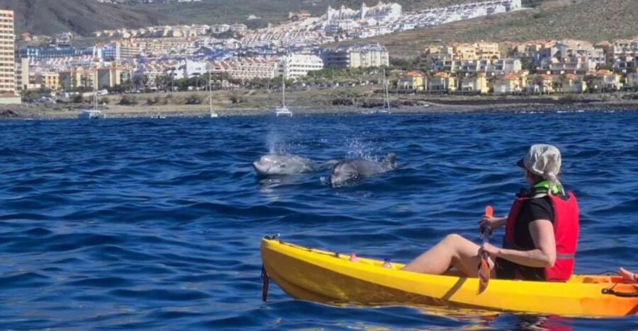 Tenerife: Kayak Safari and Sea Turtle Snorkeling with Photos - From Los Cristianos beach toward the Guaza cliffs
