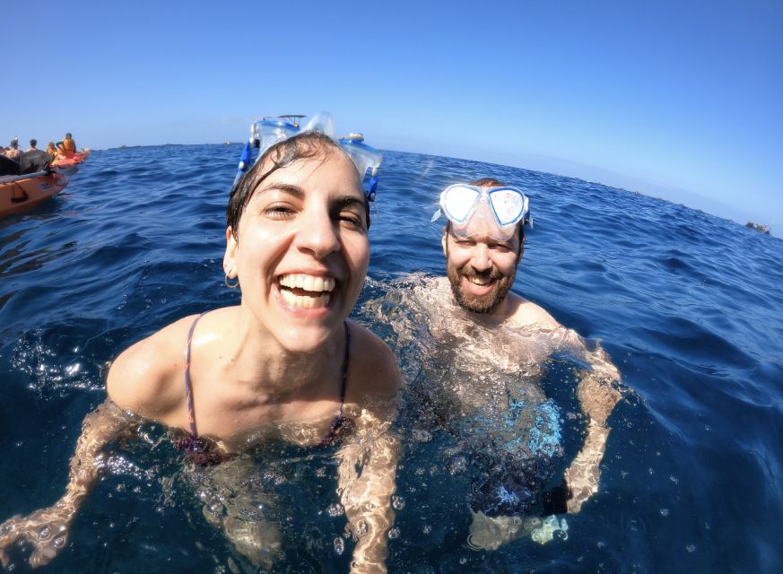 Tenerife: Kayak Safari and Sea Turtle Snorkeling with Photos - Photos, equipment, and what $29 buys you