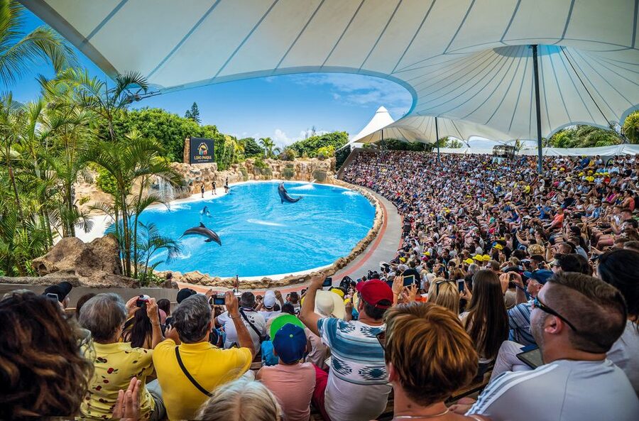 Tenerife: Loro Parque Entry Ticket - Key points before you go