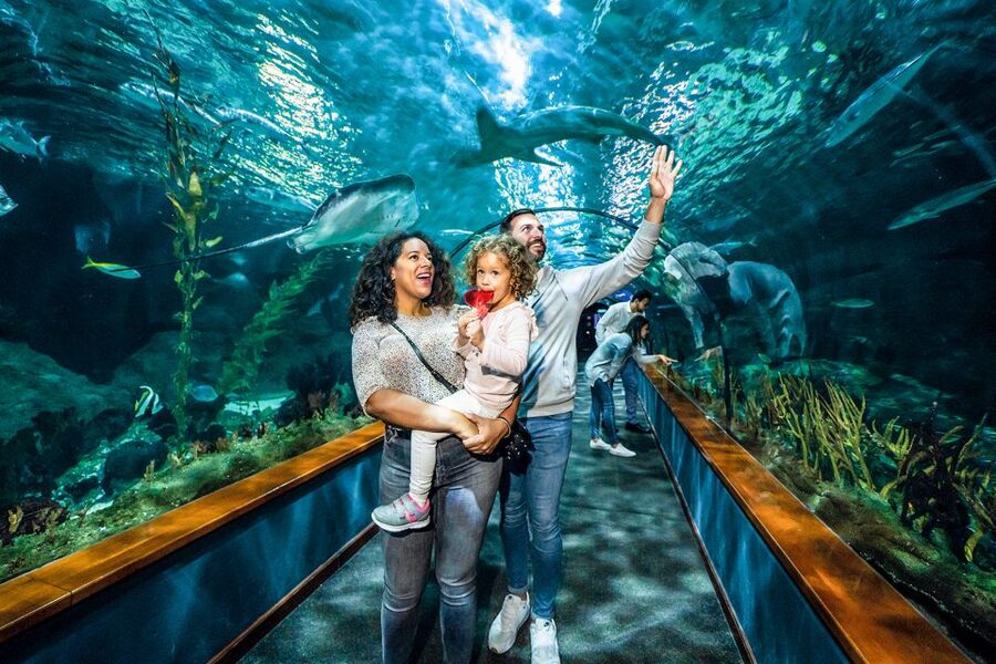 Tenerife: Loro Parque Entry Ticket - Food, toilets, and breaks around the park