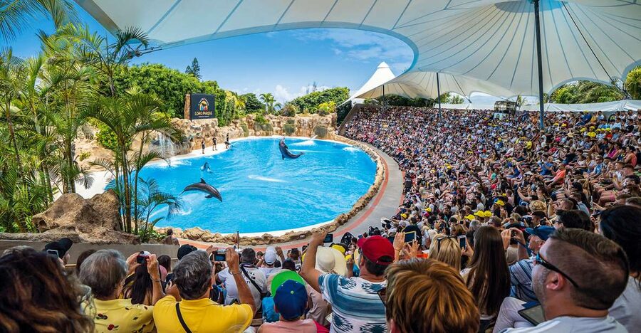 Tenerife: Loro Parque Entry Ticket - Orca Ocean is the main event
