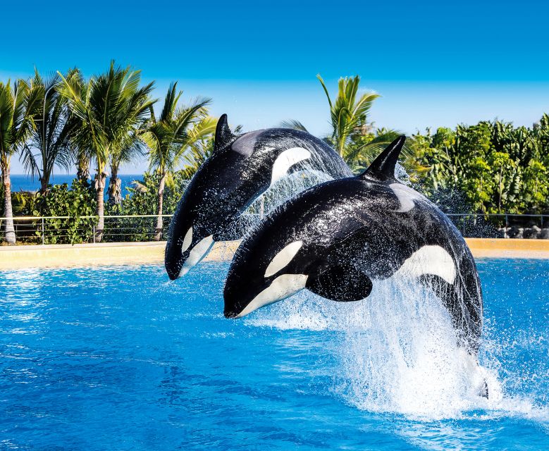 Tenerife: Loro Parque Entry Ticket - Penguins and the aquarium deserve their own time