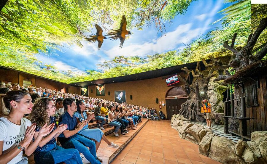 Tenerife: Loro Parque Entry Ticket - Start with the map, then plan the four presentations
