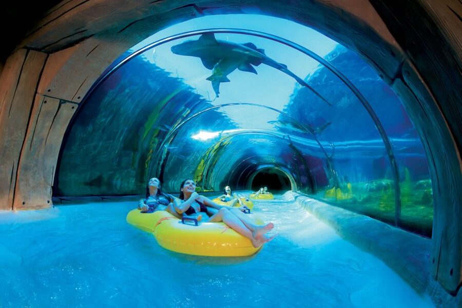Tenerife: Loro Parque & Siam Park Entry Ticket with Transfer - The coach transfer from Tenerife’s south coast