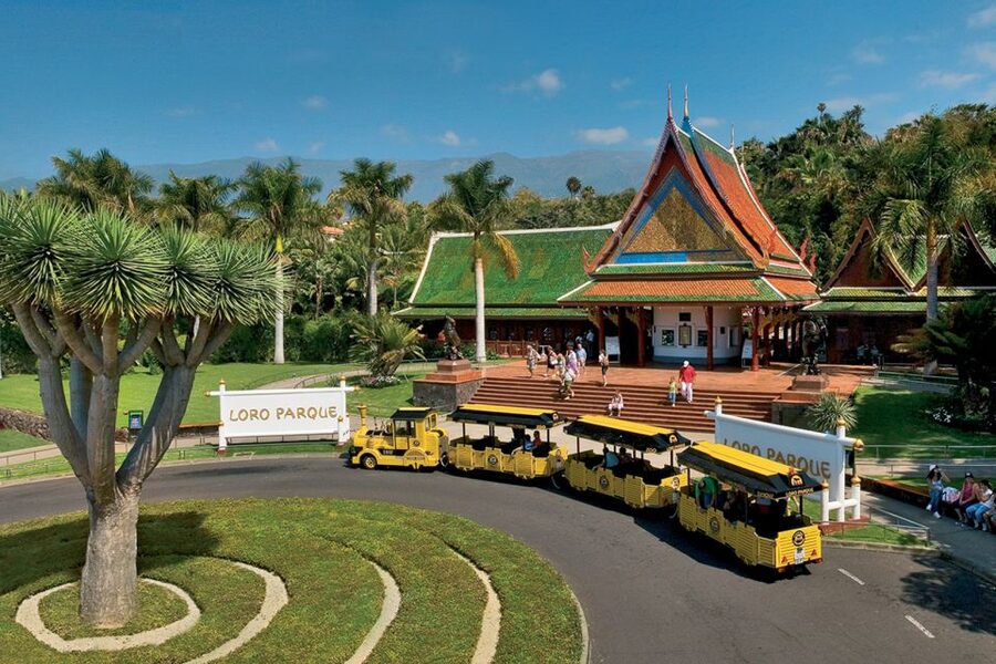 Tenerife: Loro Parque & Siam Park Entry Ticket with Transfer - Food, clothing, and small costs to plan for