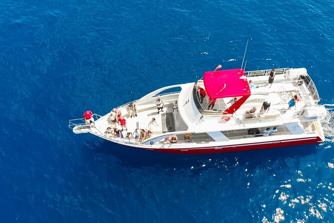 Tenerife Los Cristianos: Whale and Dolphin Eco-Yacht and Swim Stop - Setting off from Los Cristianos