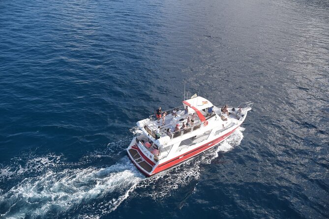 Tenerife Los Cristianos: Whale and Dolphin Eco-Yacht and Swim Stop - The swim and snorkel stop