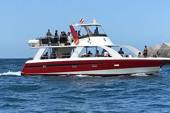 Tenerife Los Cristianos: Whale and Dolphin Eco-Yacht and Swim Stop - Is $18.10 good value?