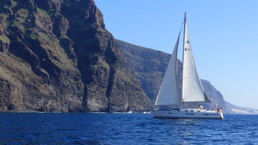 Tenerife: Los Gigantes Whale Watching Cruise by Sail Boat - What the Small Group Changes