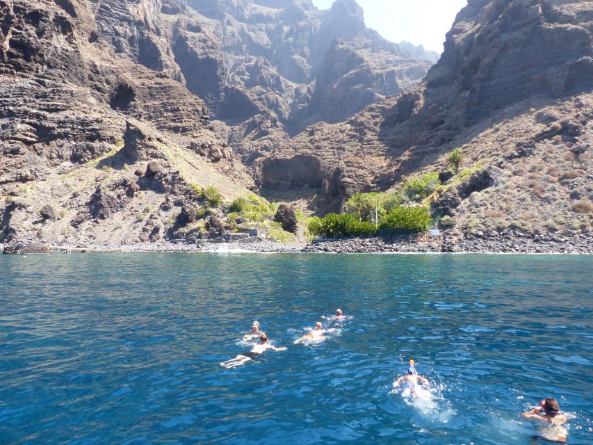 Tenerife: Los Gigantes Whale Watching Cruise by Sail Boat - Who Will Enjoy This Cruise Most?