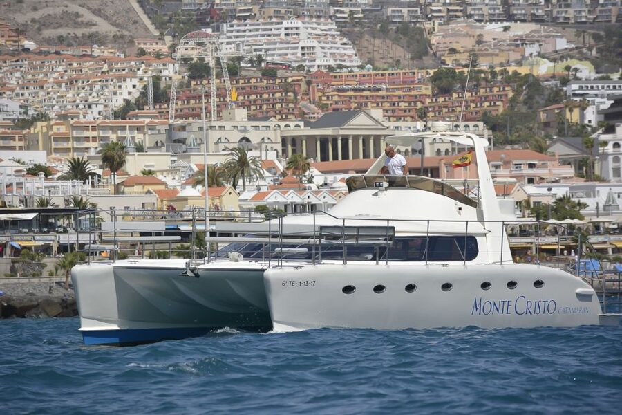 Tenerife: Marine-Life Tour with Transfer, Buffet and Drinks - Key details before you book