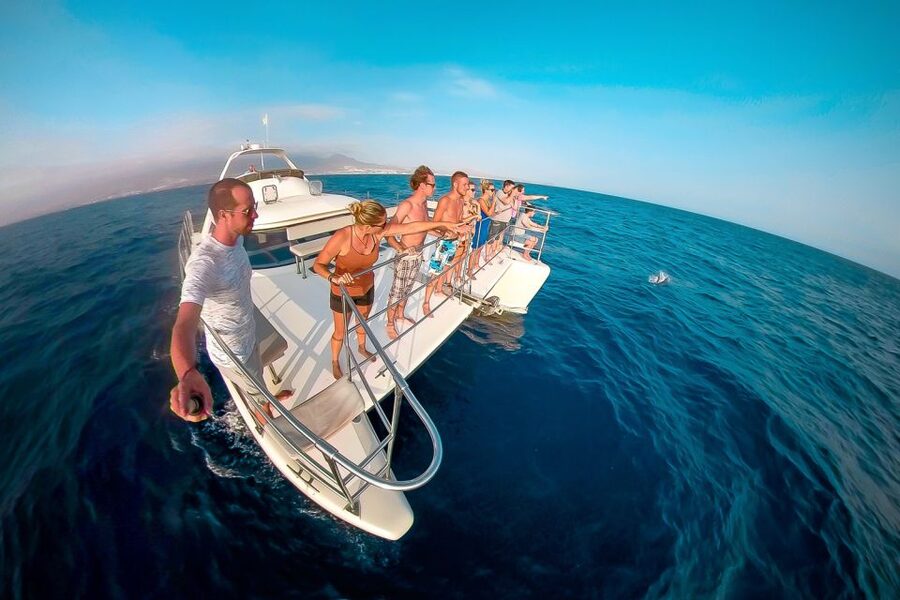Tenerife: Marine-Life Tour with Transfer, Buffet and Drinks - Practical tips for a better day