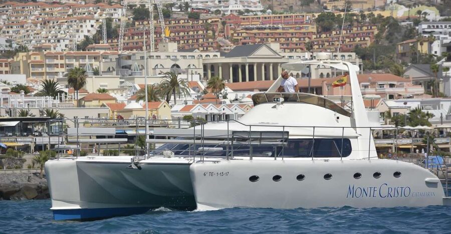 Tenerife: Marine-Life Tour with Transfer, Buffet and Drinks - Searching for whales and dolphins