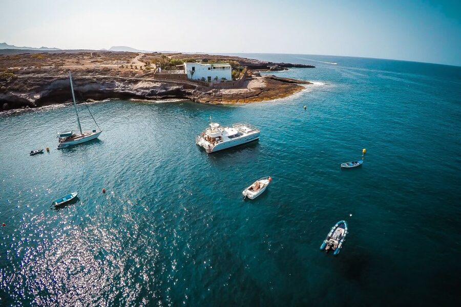 Tenerife: Marine-Life Tour with Transfer, Buffet and Drinks - Tapas, cava, and the relaxed onboard service