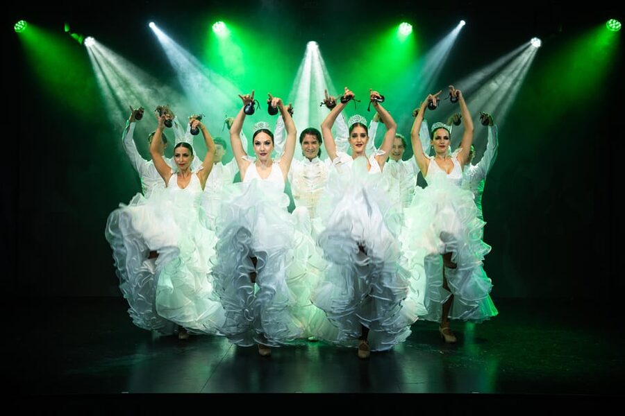 Tenerife : Olé Flamenco Show by Fran Chafino Ticket - The music: guitar, singing, and physical force