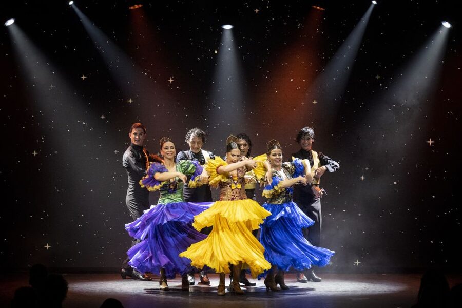 Tenerife : Olé Flamenco Show by Fran Chafino Ticket - Who will enjoy Olé most?
