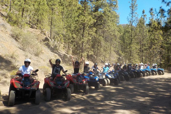 Tenerife: Quad Adventure Teide Tour - Vilaflor gives you a useful pause