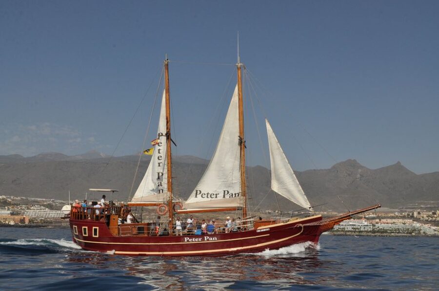 Tenerife:Respectful Whale Watching, Pirate Ship, & Swim - Who should book this cruise?