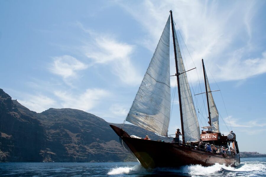 Tenerife:Respectful Whale Watching, Pirate Ship, & Swim - The swimming stop and what to pack